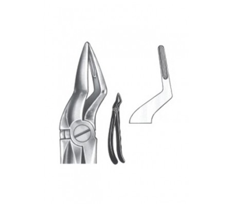 Extracting Forceps